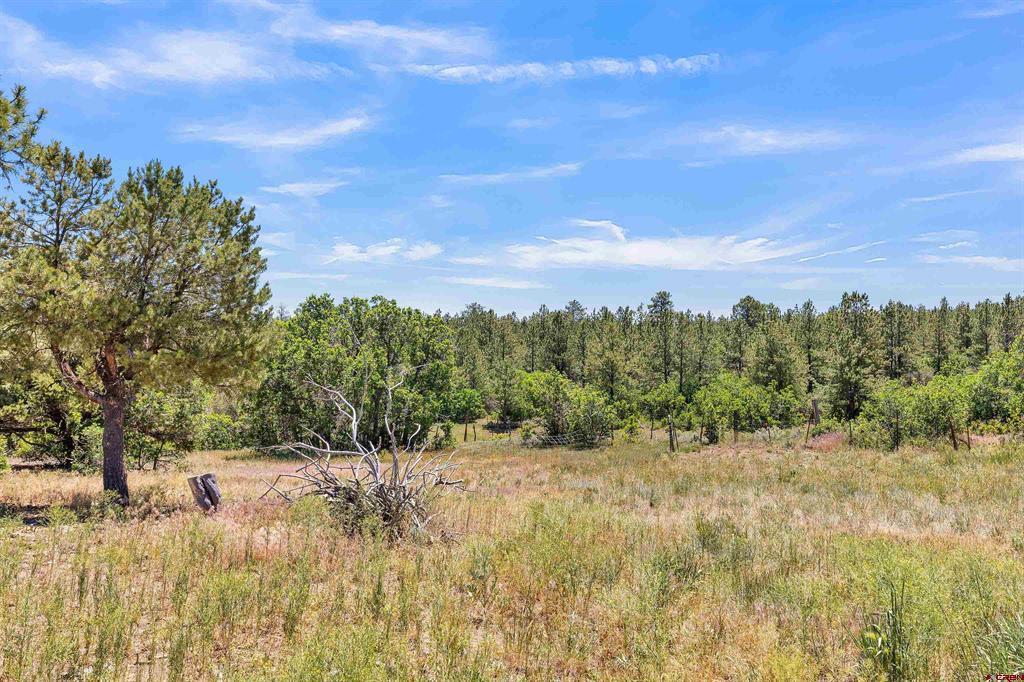 1748 Dave Wood Road Montrose CO 81403