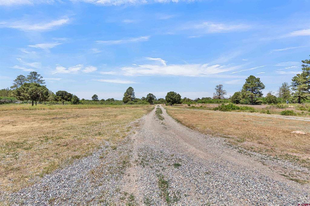 1748 Dave Wood Road Montrose CO 81403