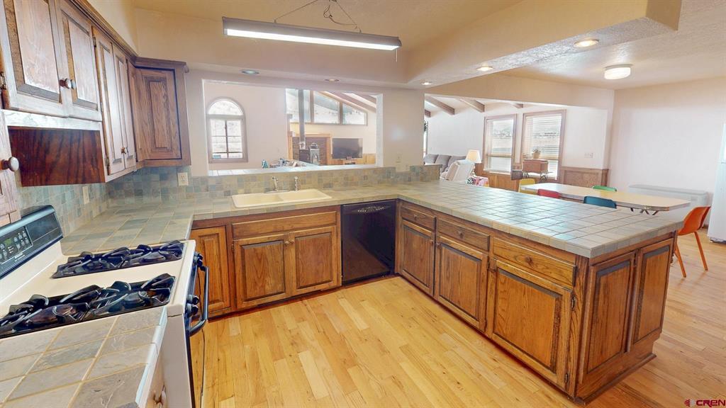 206 La Font Drive Creede CO 81130