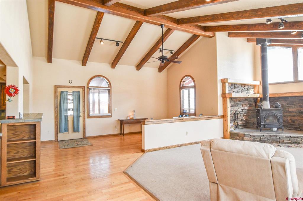 206 La Font Drive Creede CO 81130
