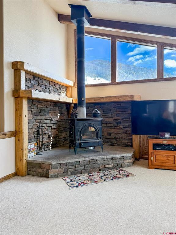 206 La Font Drive Creede CO 81130