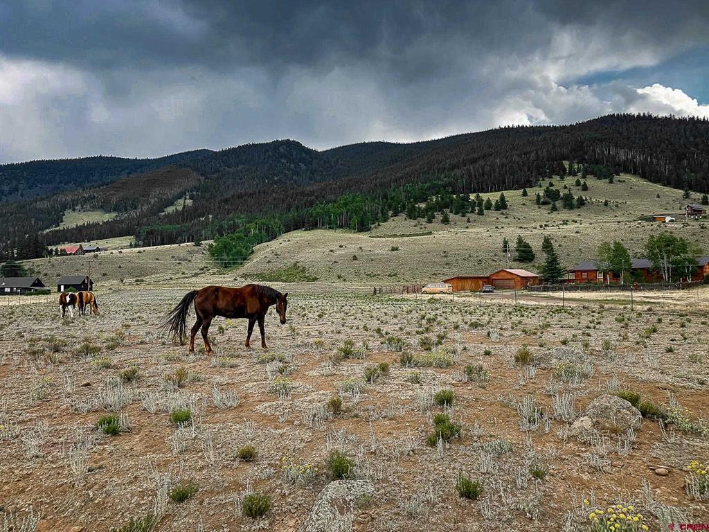 206 La Font Drive Creede CO 81130
