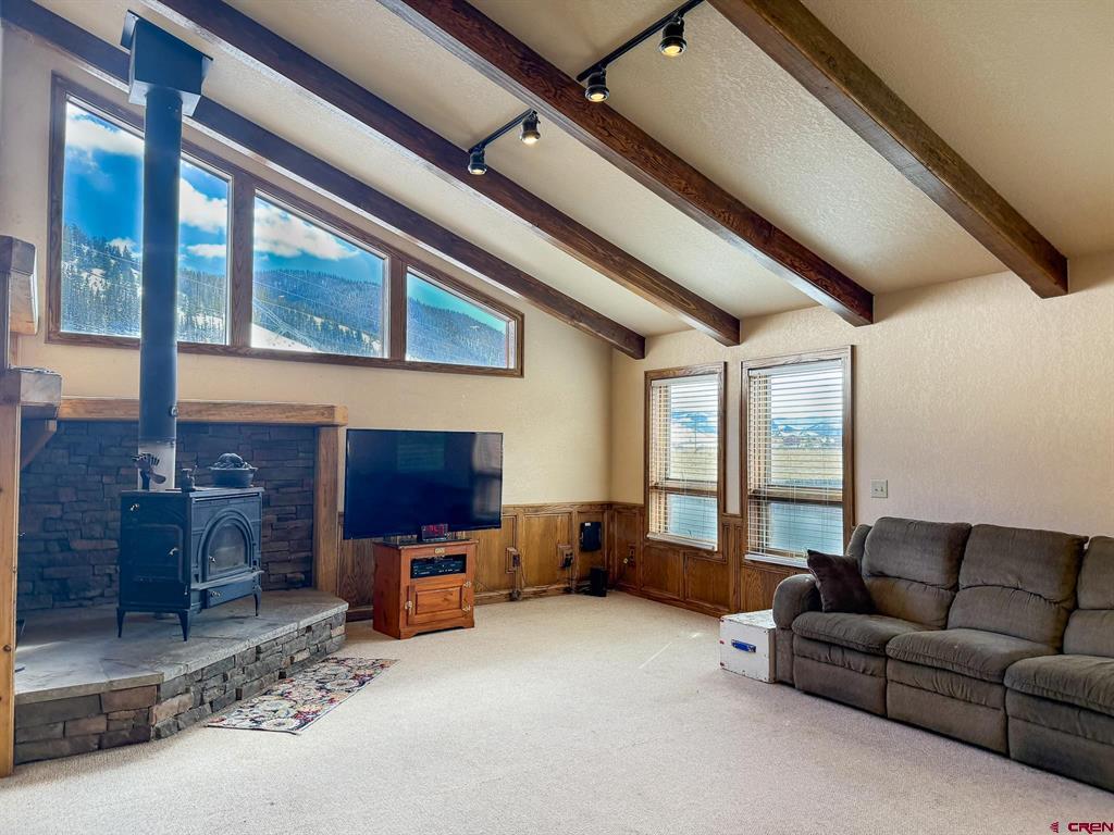206 La Font Drive Creede CO 81130
