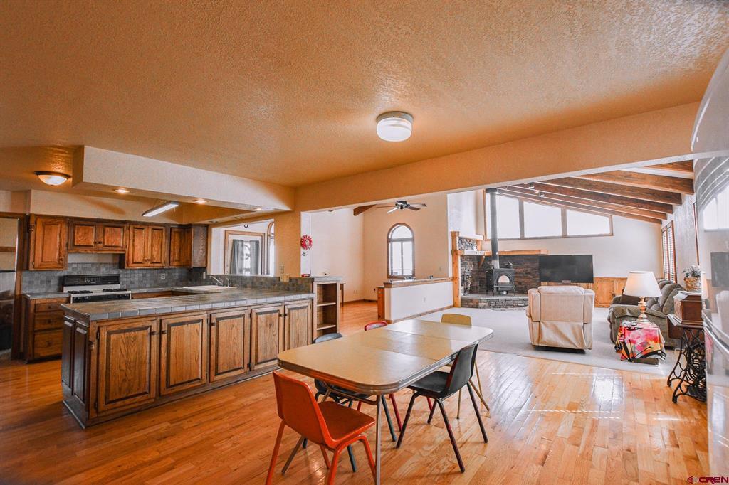 206 La Font Drive Creede CO 81130