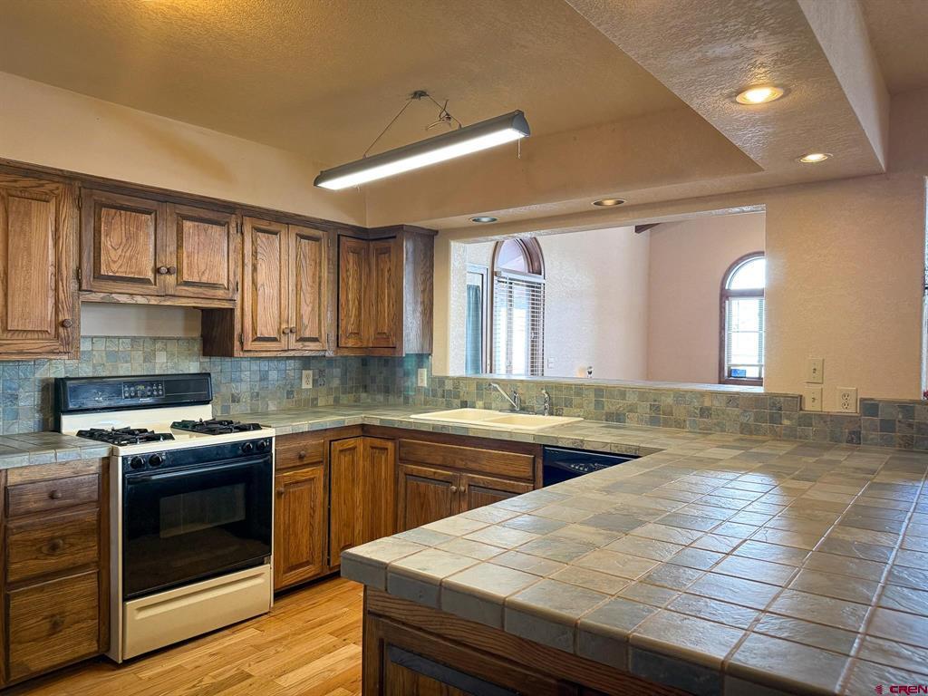 206 La Font Drive Creede CO 81130