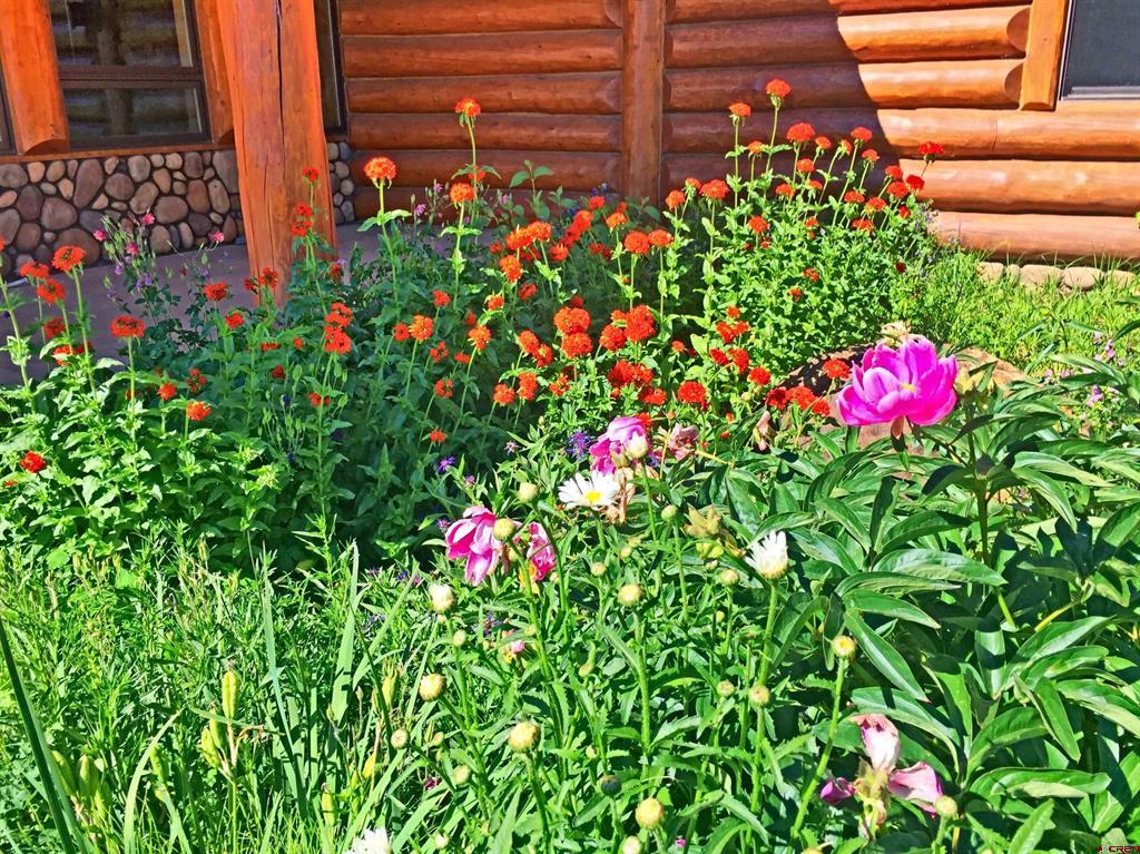 222 Caddis Circle South Fork CO 81154