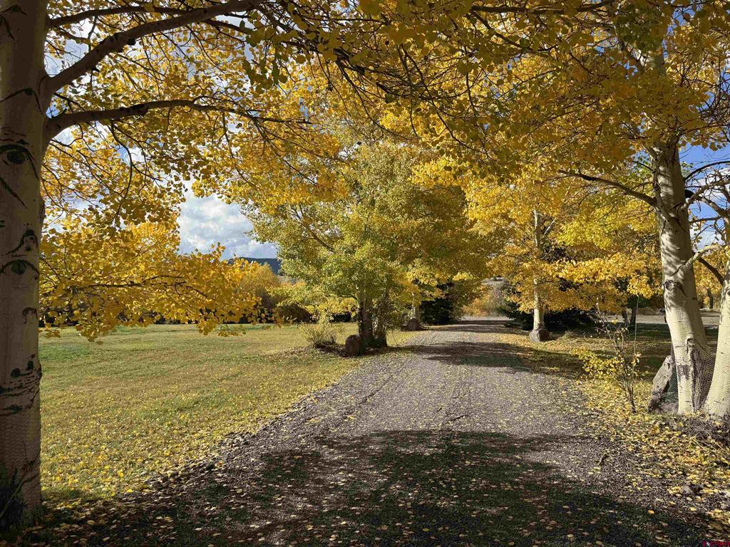 222 Caddis Circle South Fork CO 81154