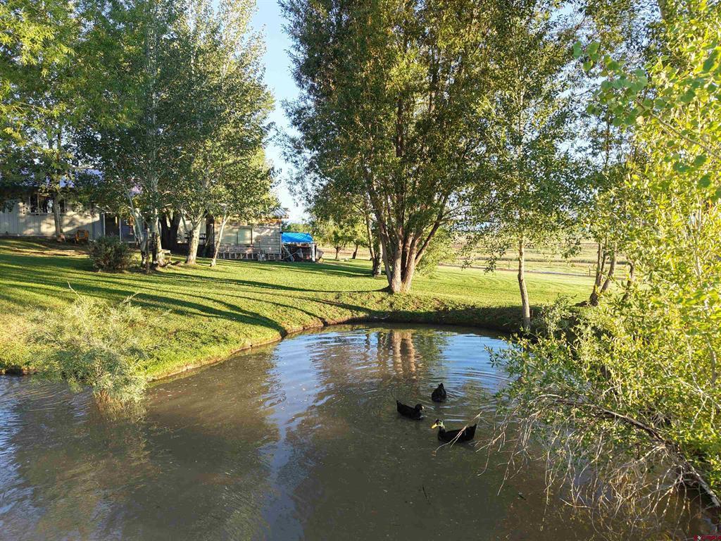 1044 Cr 314 Ignacio CO 81137