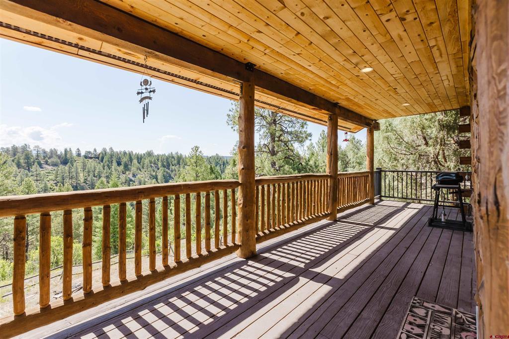 368 Crestone Place Pagosa Springs CO 81147