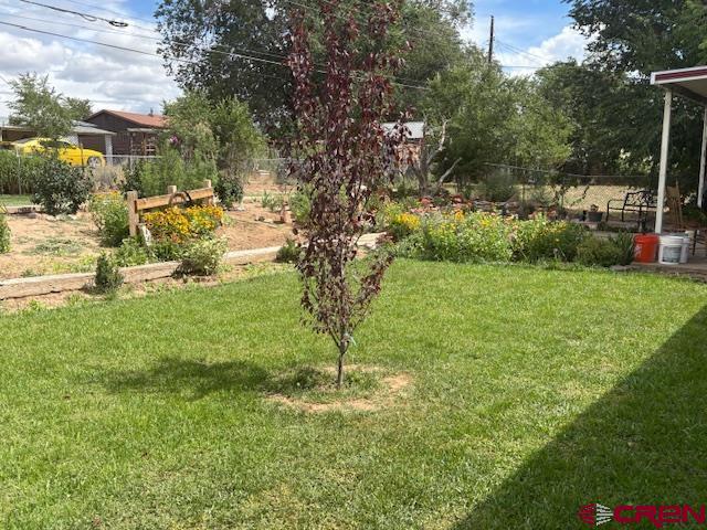 918 Livesay Drive Cortez CO 81321