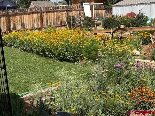 918 Livesay Drive Cortez CO 81321