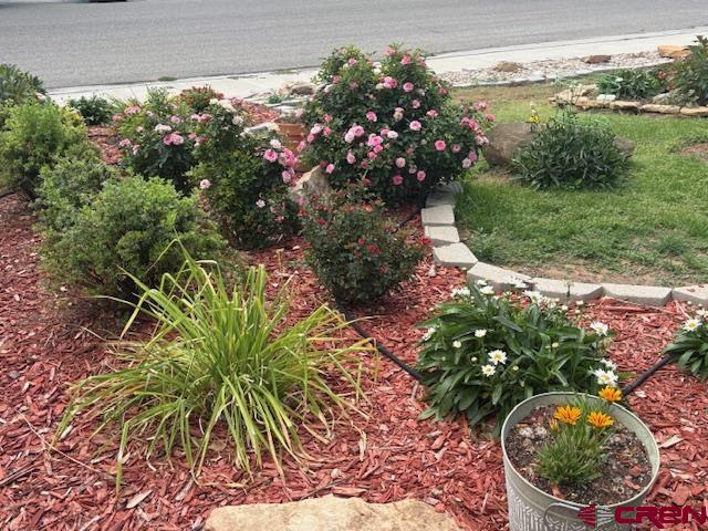 918 Livesay Drive Cortez CO 81321