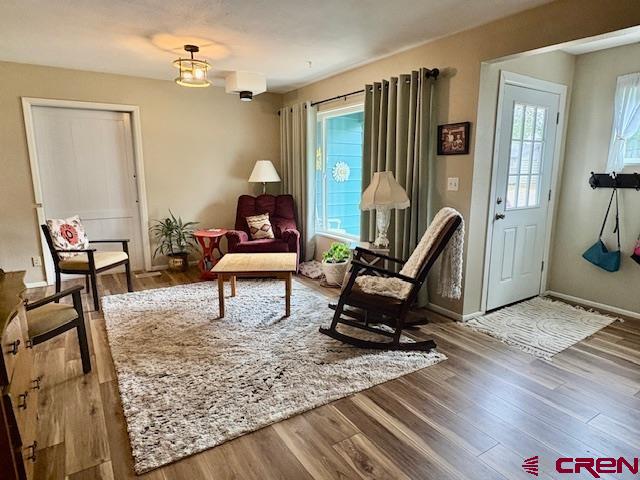 918 Livesay Drive Cortez CO 81321