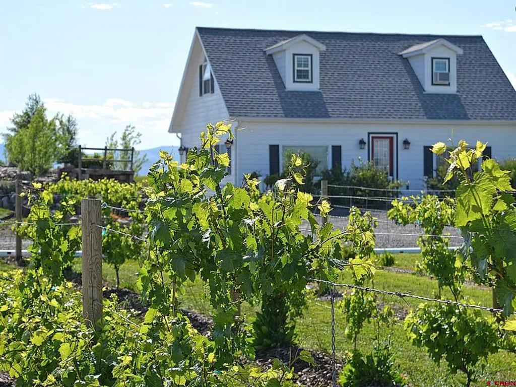 61546 Forever View Drive Montrose CO 81401