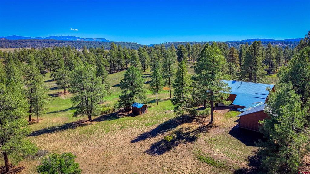 186 Clearwater Drive Pagosa Springs CO 81147