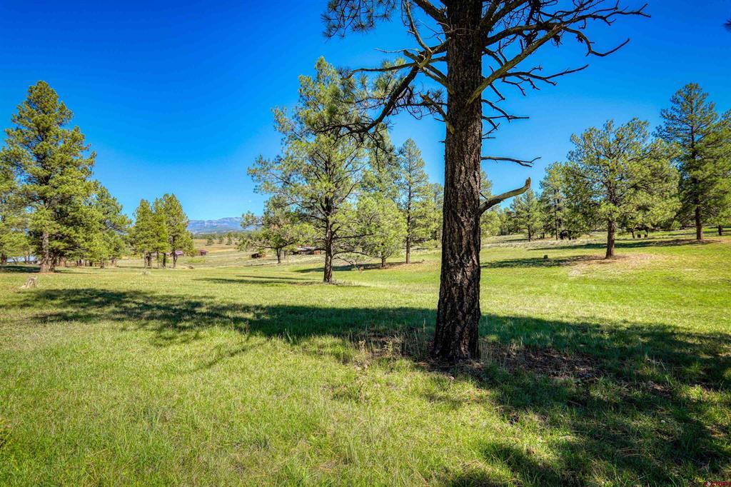 186 Clearwater Drive Pagosa Springs CO 81147