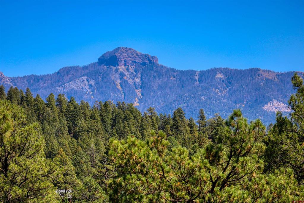 186 Clearwater Drive Pagosa Springs CO 81147