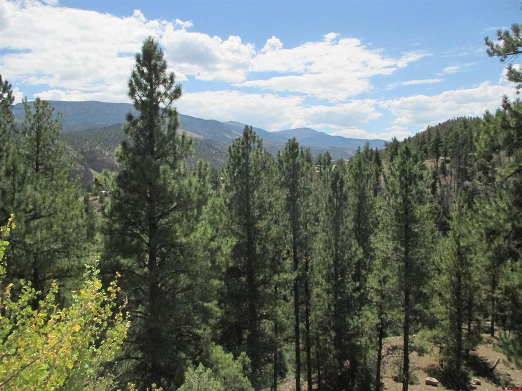 945 State 149 Highway Lake City CO 81243