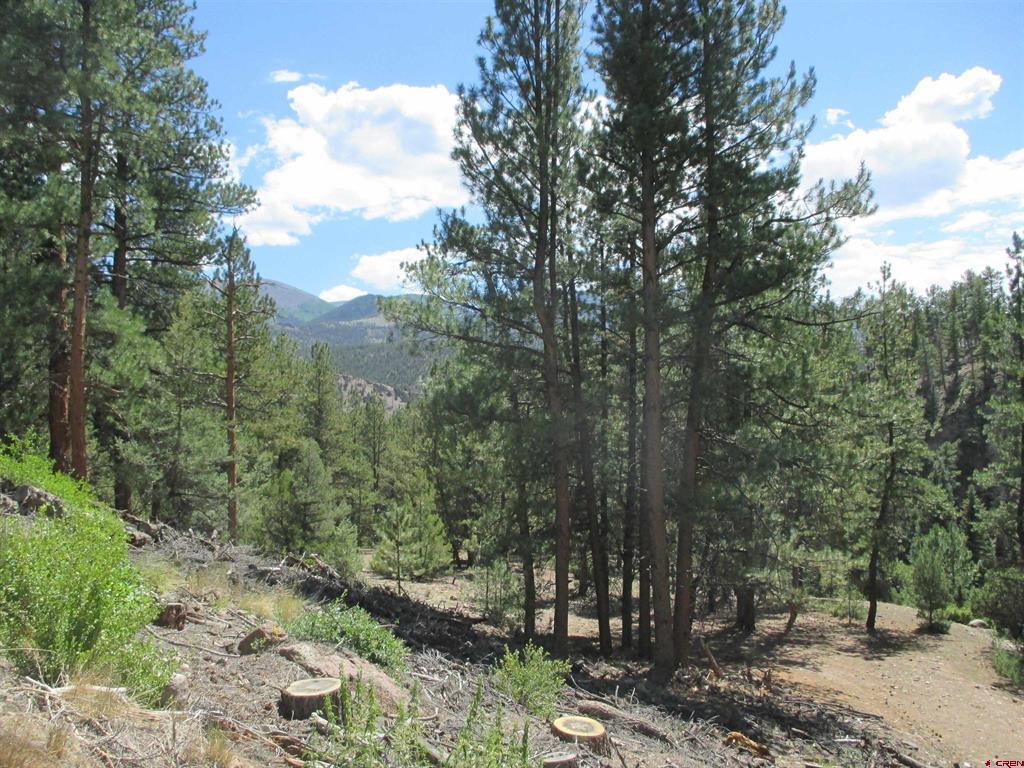 945 State 149 Highway Lake City CO 81243