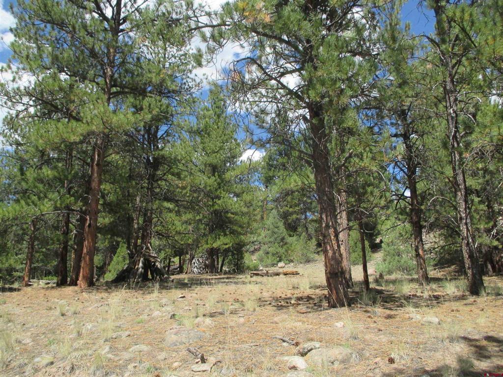 945 State 149 Highway Lake City CO 81243