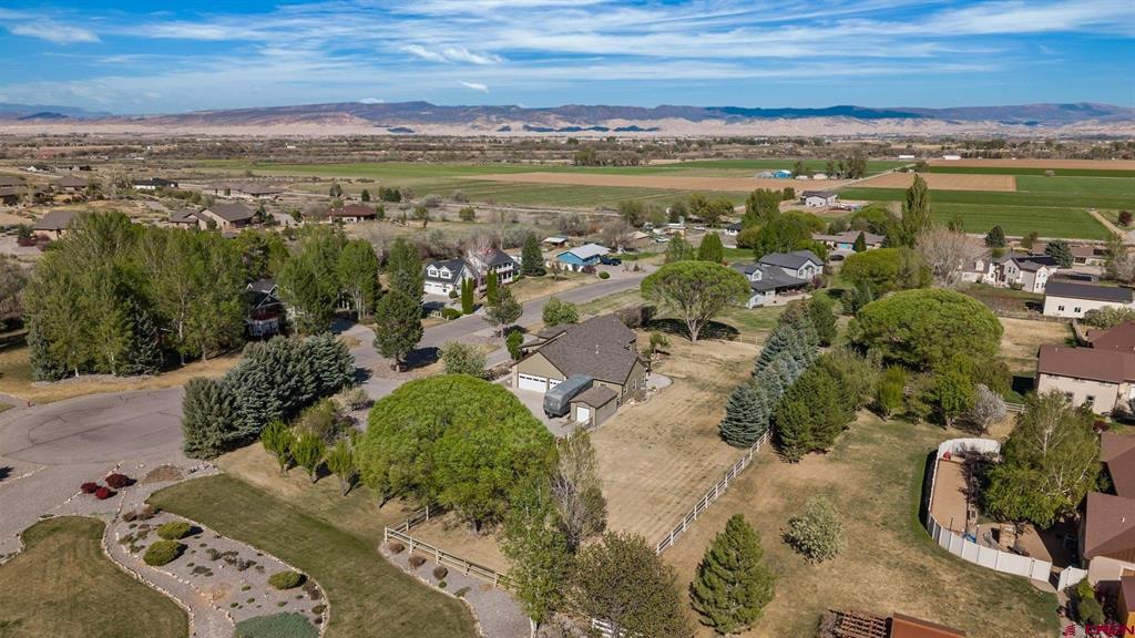 13763 Larkspur Drive Montrose CO 81403