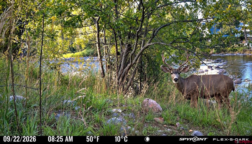 5775 Cr 501 Bayfield CO 81301