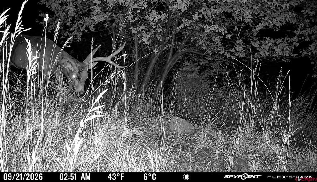5775 Cr 501 Bayfield CO 81301
