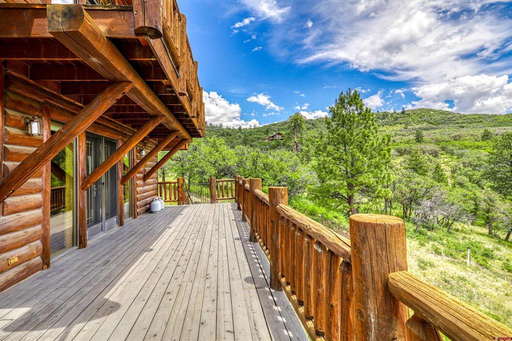 1001 Soaring Eagle Court Chromo CO 81128