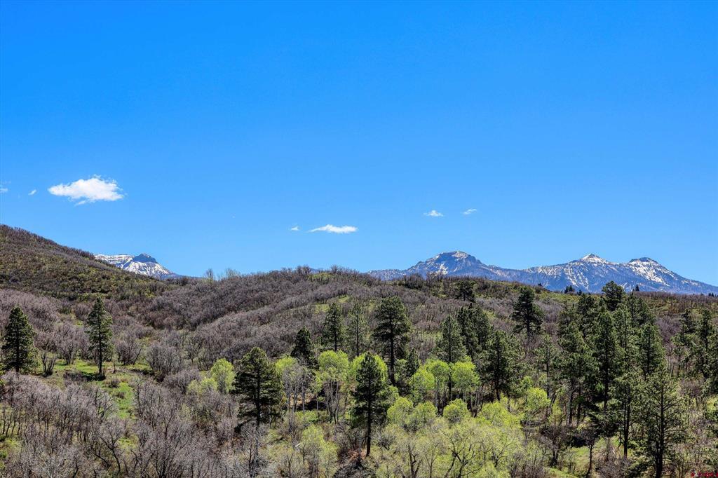 1001 Soaring Eagle Court Chromo CO 81128