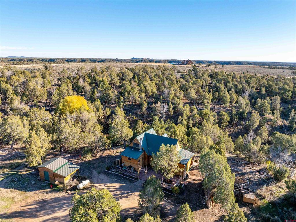 1870 County Road 135 Hesperus CO 81326