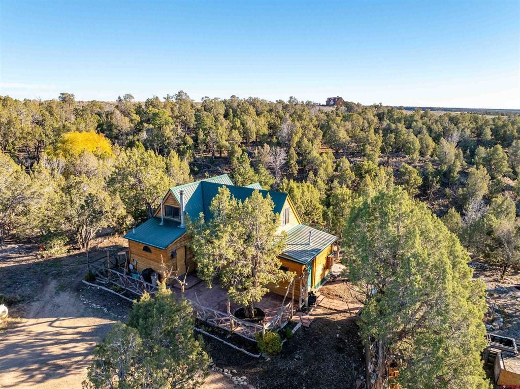 1870 County Road 135 Hesperus CO 81326