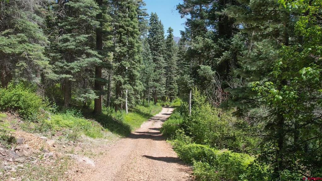 504 Weminuche Road Pagosa Springs CO 81147