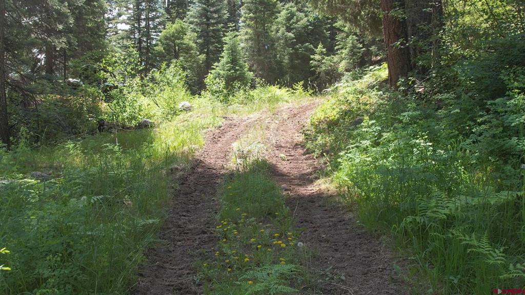 504 Weminuche Road Pagosa Springs CO 81147