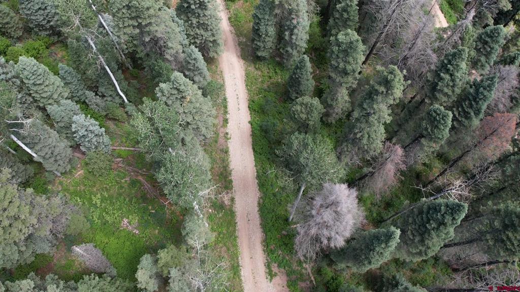 504 Weminuche Road Pagosa Springs CO 81147