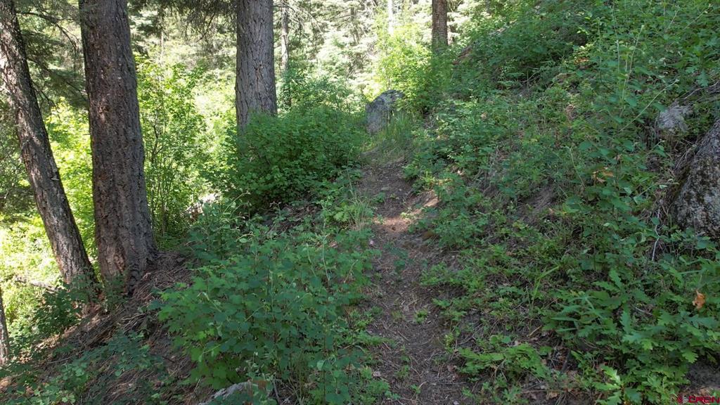 504 Weminuche Road Pagosa Springs CO 81147