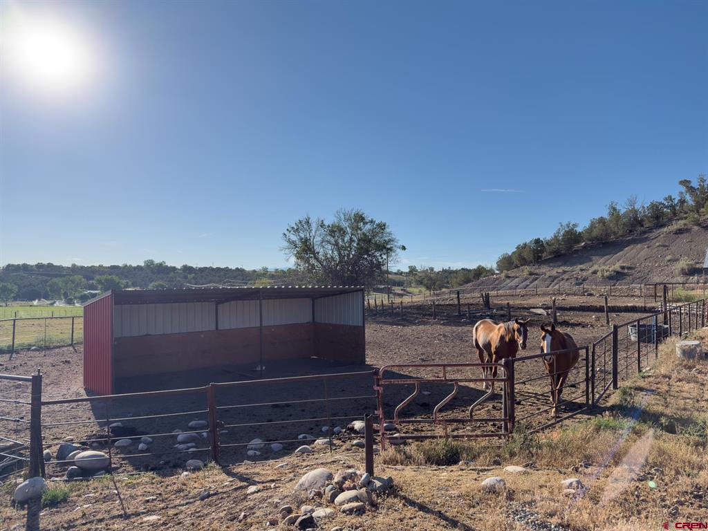 1648 St Highway 151 Ignacio CO 81137