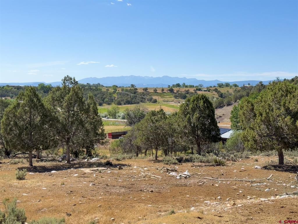 1648 St Highway 151 Ignacio CO 81137