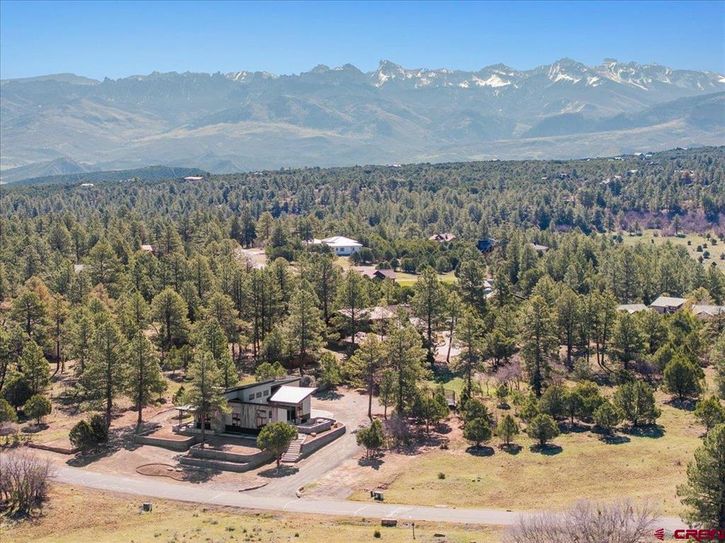176 Bear Cub Drive Ridgway CO 81432