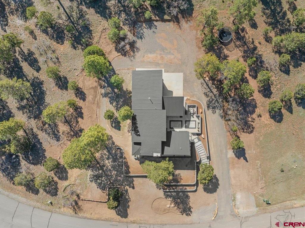 176 Bear Cub Drive Ridgway CO 81432