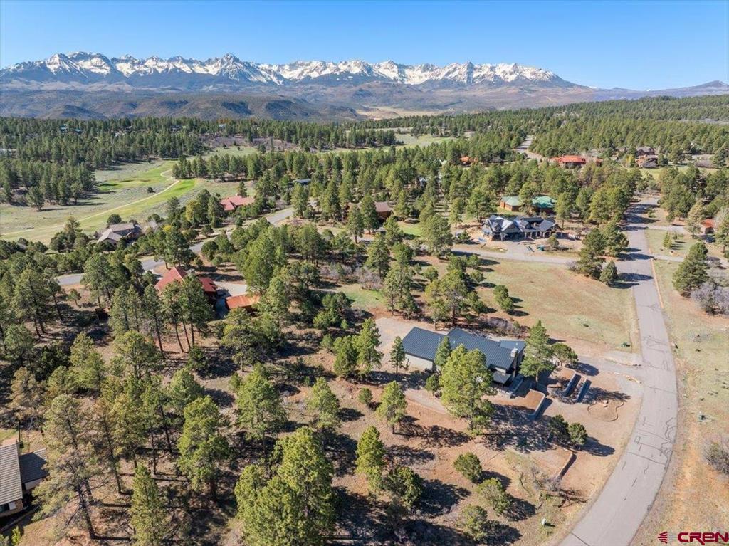 176 Bear Cub Drive Ridgway CO 81432