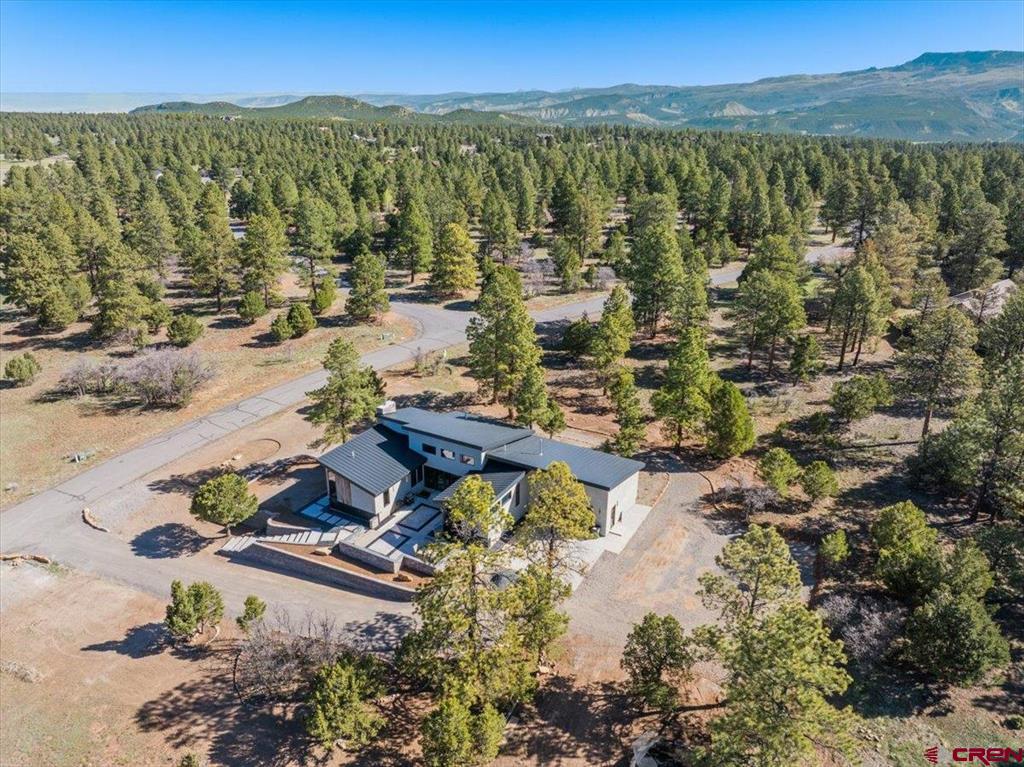 176 Bear Cub Drive Ridgway CO 81432