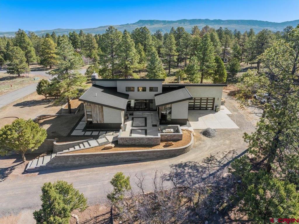 176 Bear Cub Drive Ridgway CO 81432
