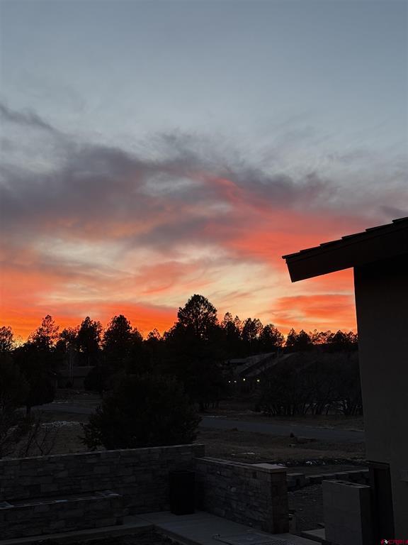 176 Bear Cub Drive Ridgway CO 81432