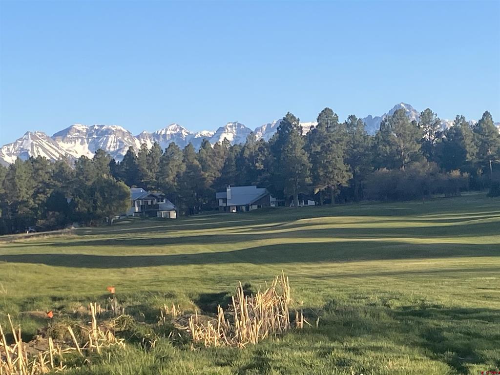 176 Bear Cub Drive Ridgway CO 81432