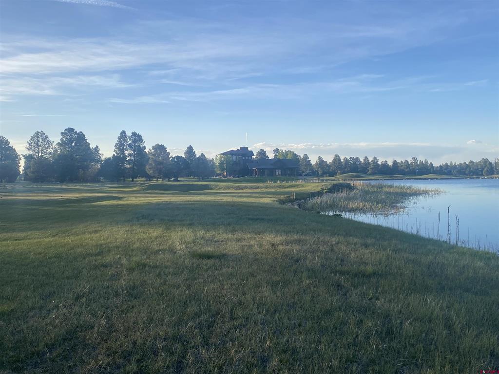 176 Bear Cub Drive Ridgway CO 81432