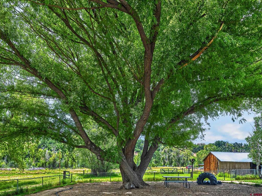 2441 County Road 225 Durango CO 81301