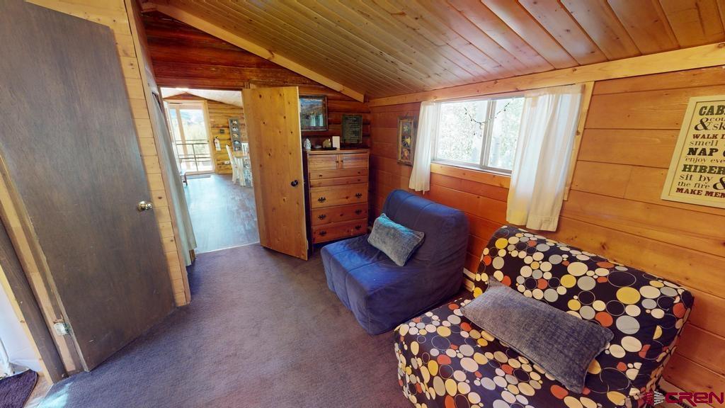 104 Sleeping Ute Way Lake City CO 81235