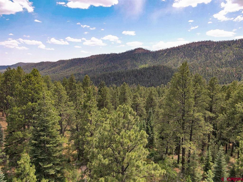 450 Rosalie Drive Durango CO 81301