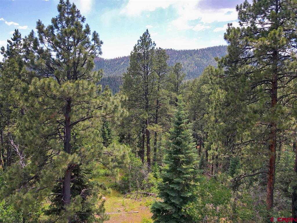 450 Rosalie Drive Durango CO 81301