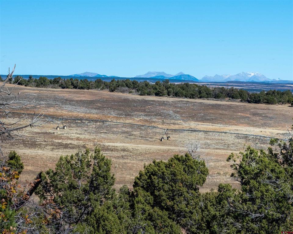 19234 Road 16 & 19444 Road 16.5 Yellow Jacket CO 81335